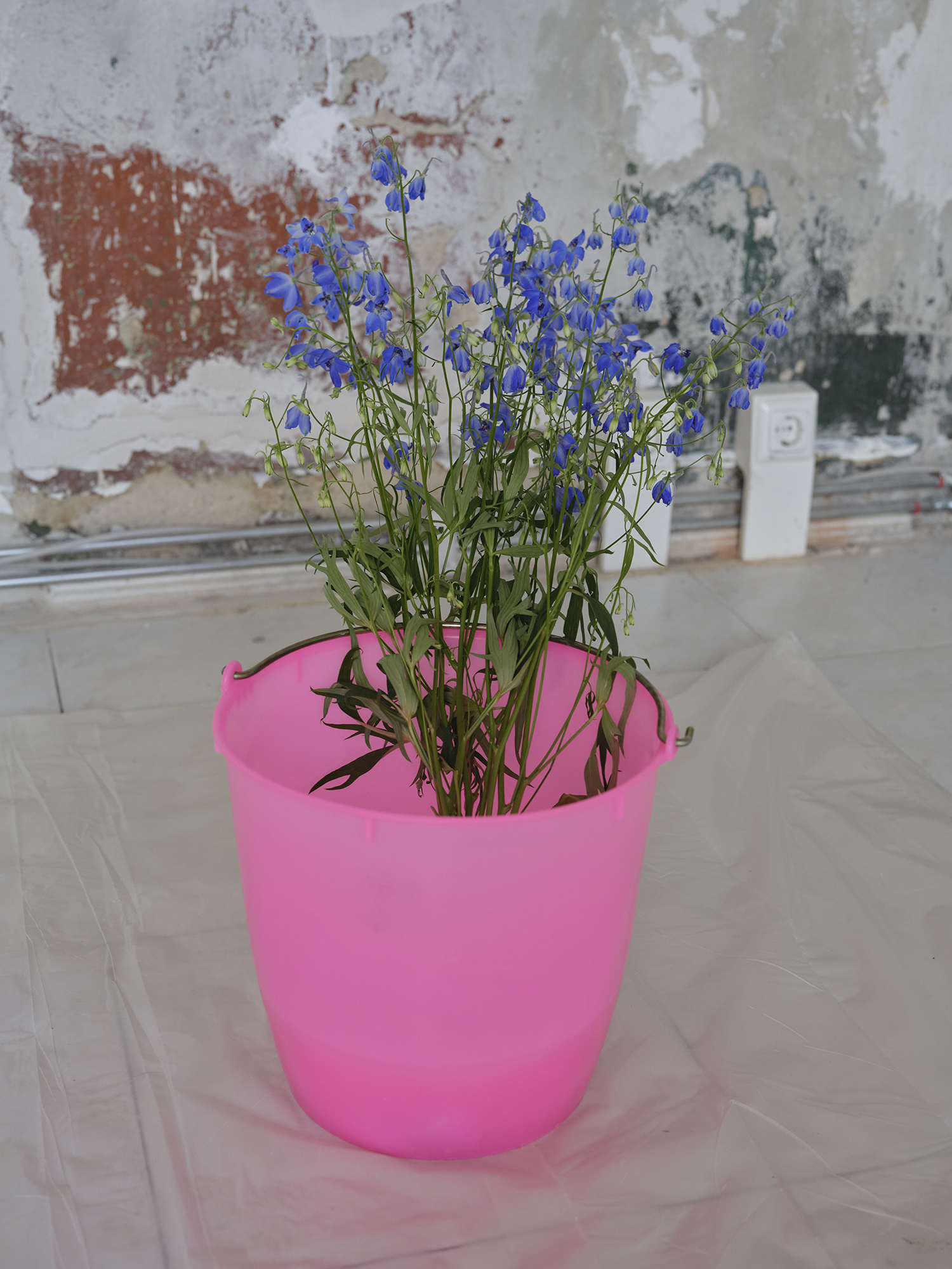 Theresa&nbsp;Fuchs - Iss&nbsp;mal - 2508-TF-Paracellsusstraße 43.jpg